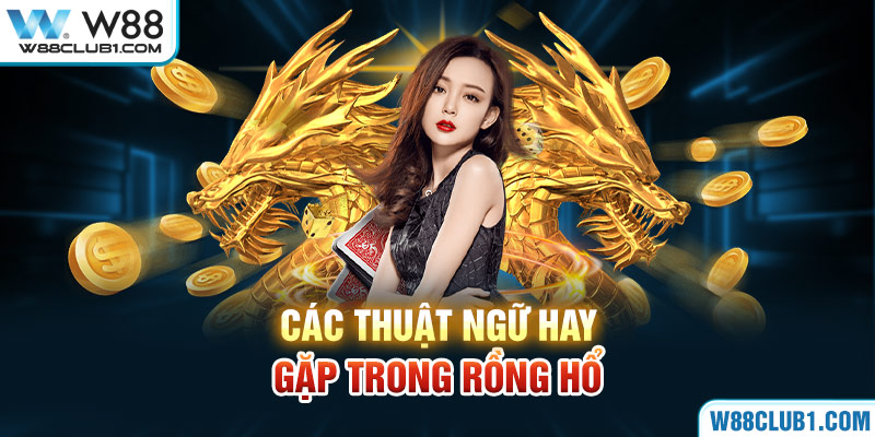 Các thuật ngữ hay gặp trong Rồng Hổ