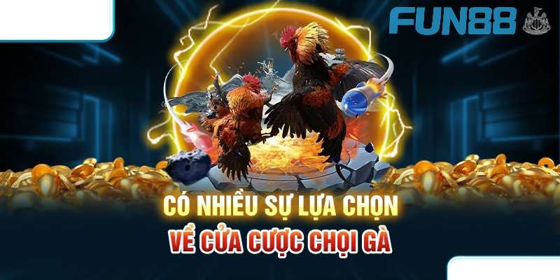 Có nhiều sự lựa chọn về cửa cược chọi gà