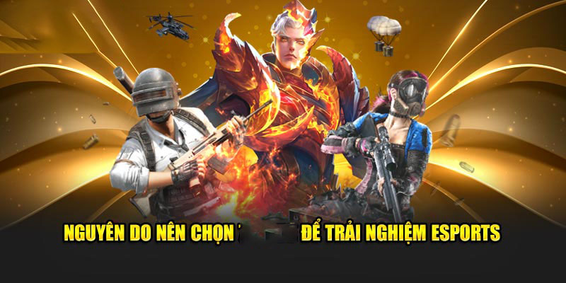 Nguyên do nên chọn Fun88 để trải nghiệm ESports