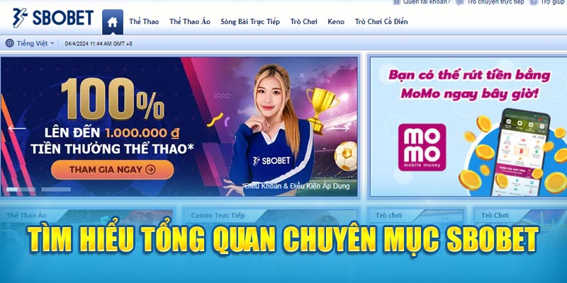 tim hieu tong quan chuyen muc sbobet